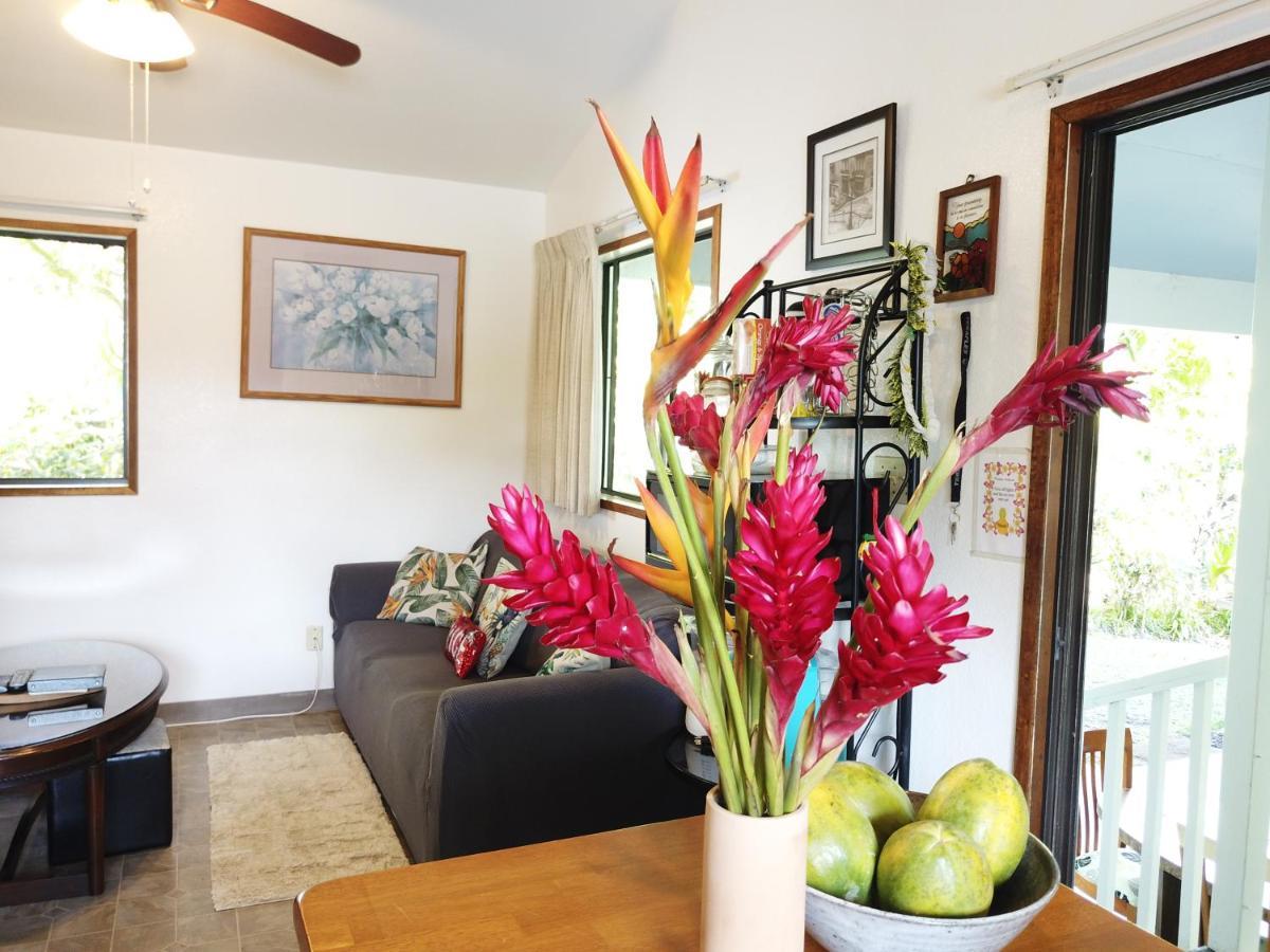 Hawaiian Ohana Home Hilo Exterior foto