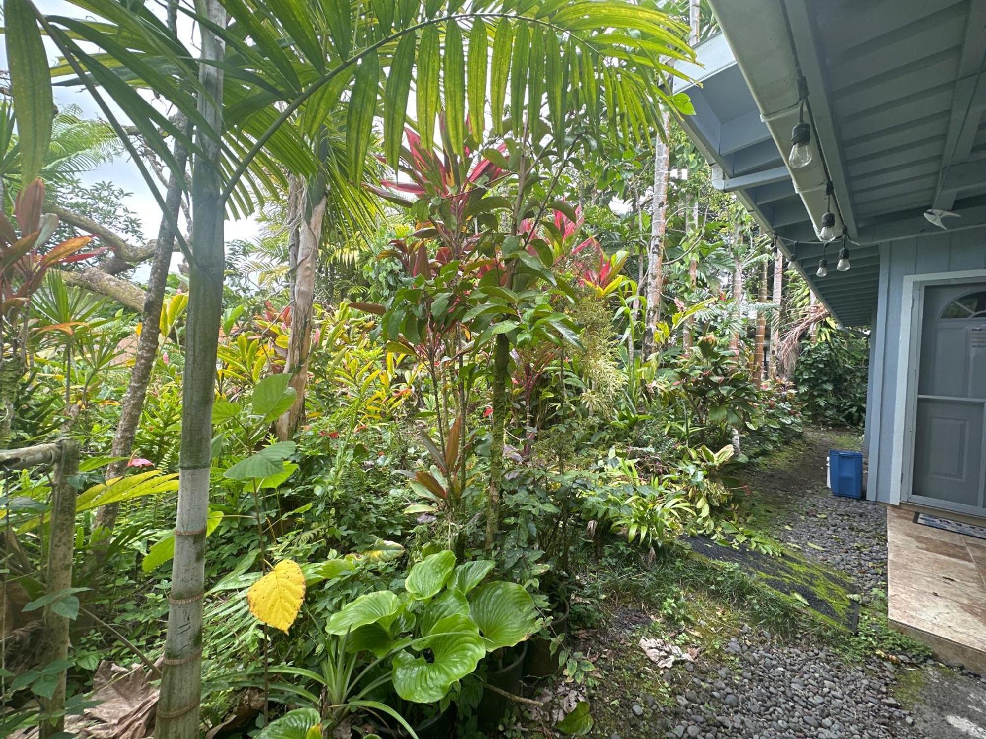 Hawaiian Ohana Home Hilo Exterior foto