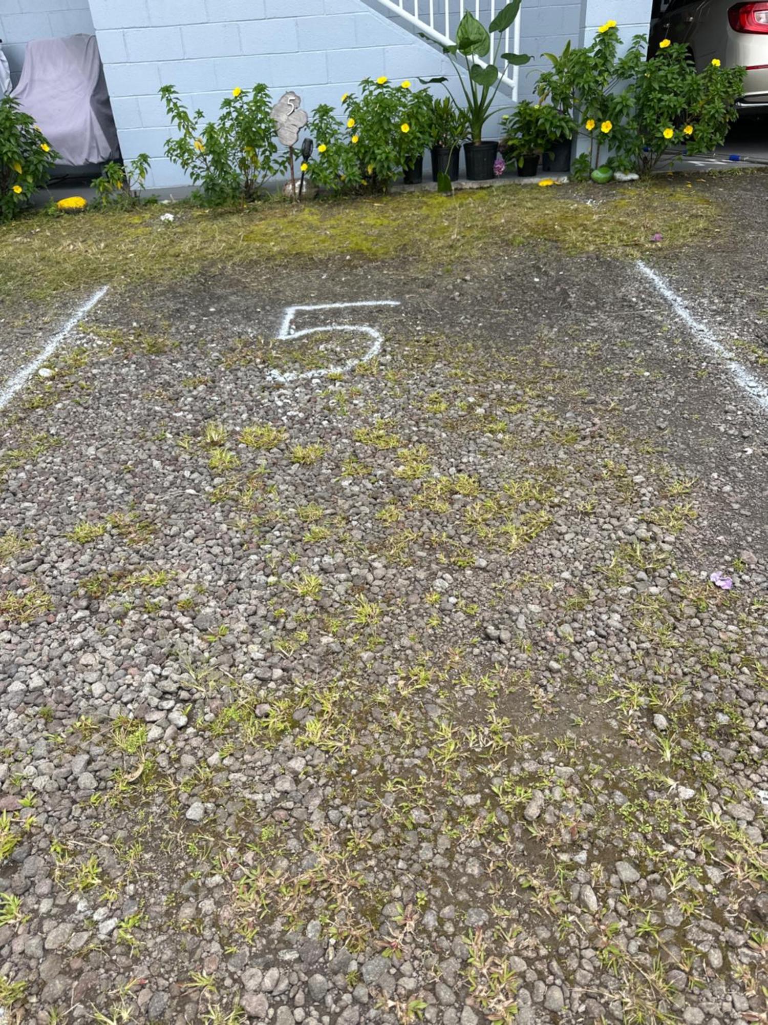Hawaiian Ohana Home Hilo Exterior foto