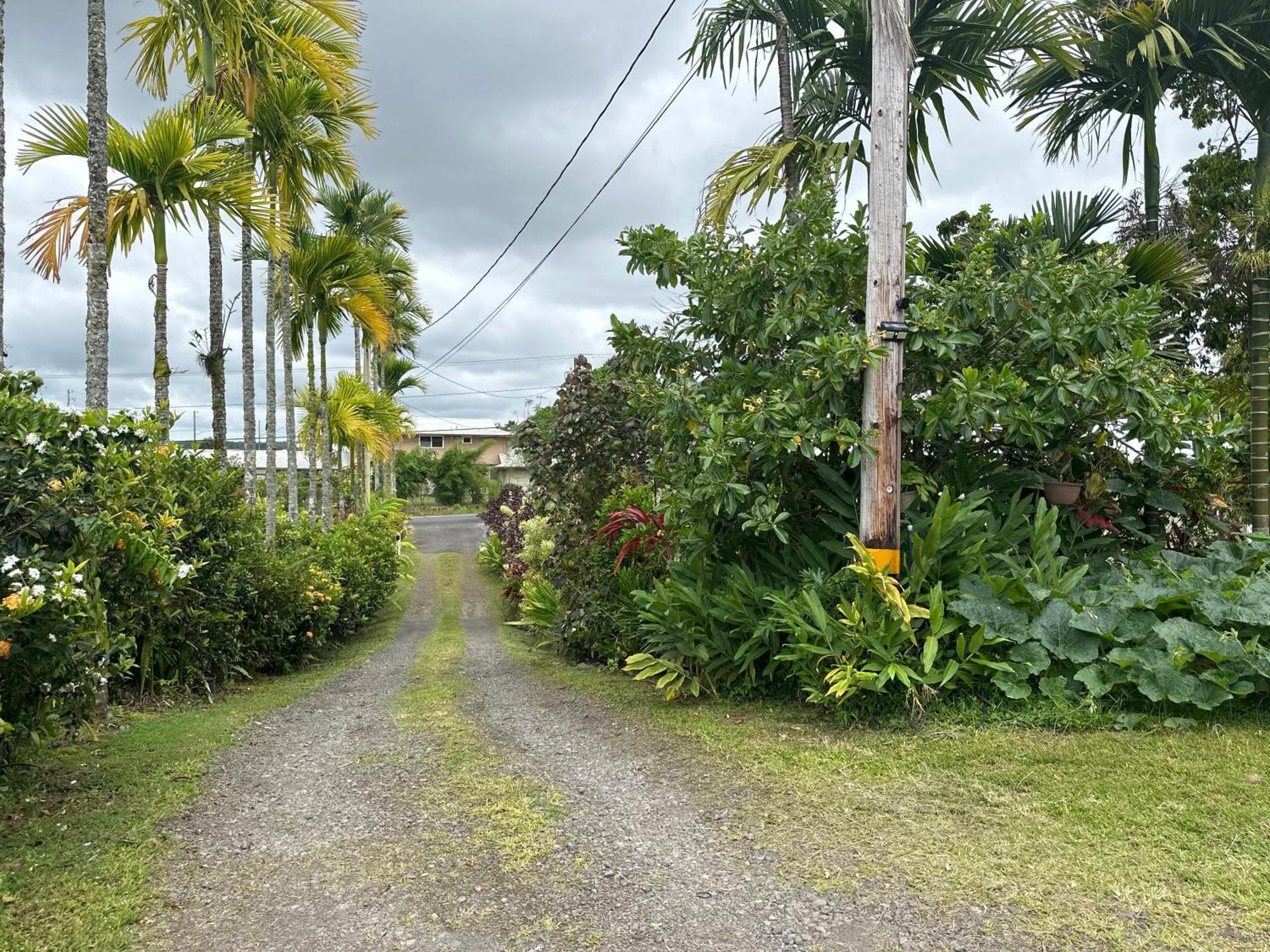 Hawaiian Ohana Home Hilo Exterior foto