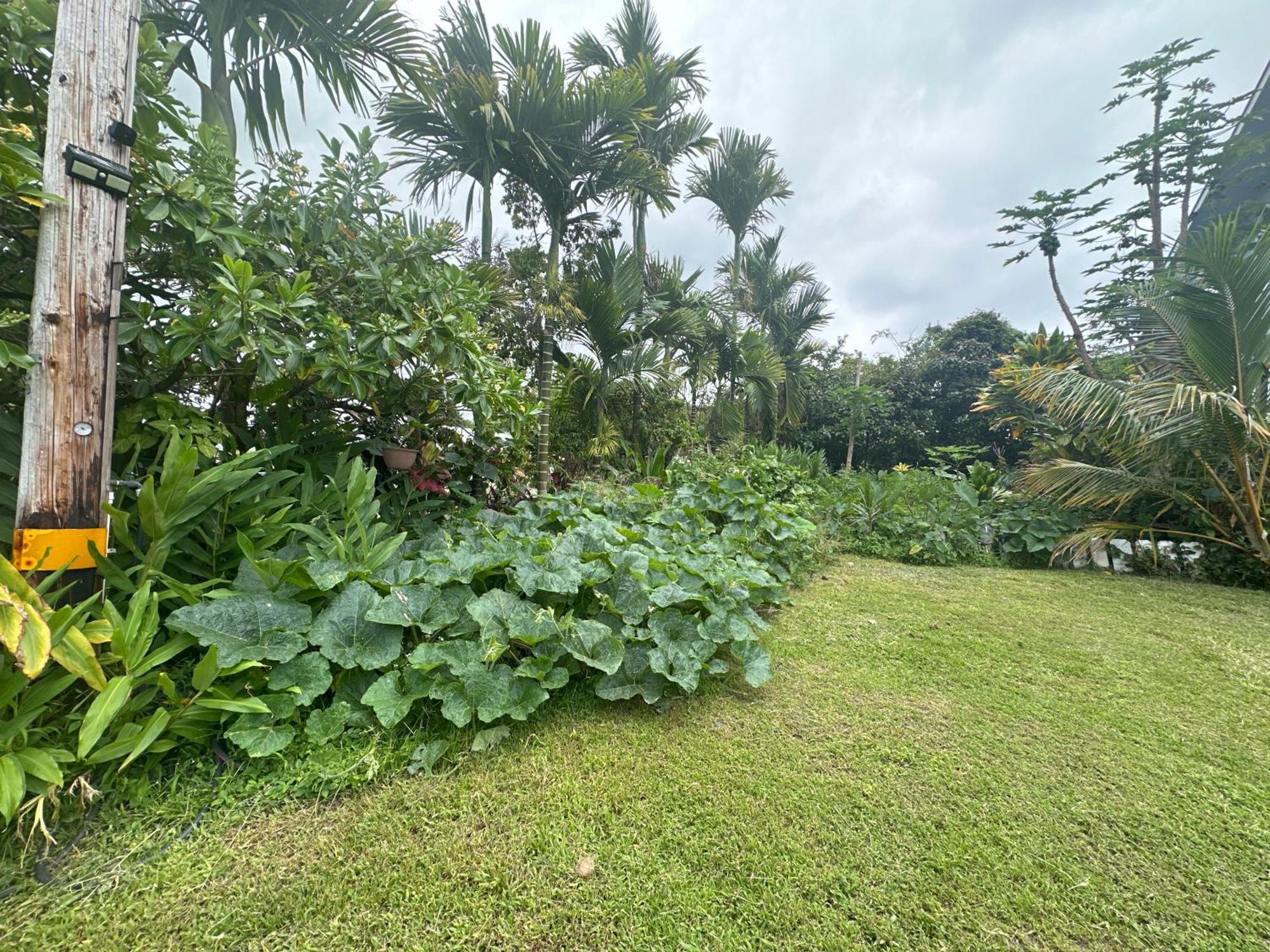 Hawaiian Ohana Home Hilo Exterior foto