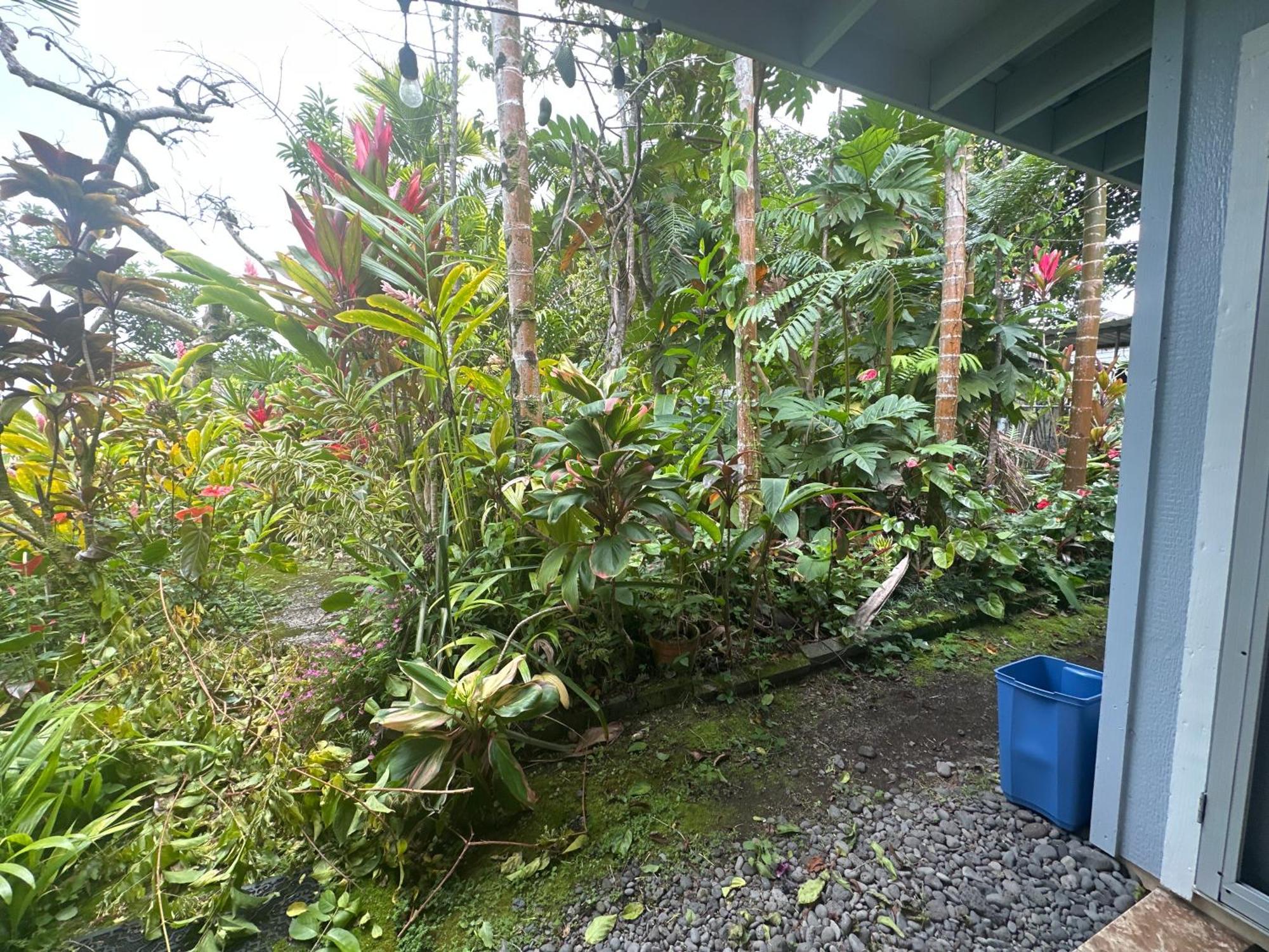 Hawaiian Ohana Home Hilo Exterior foto