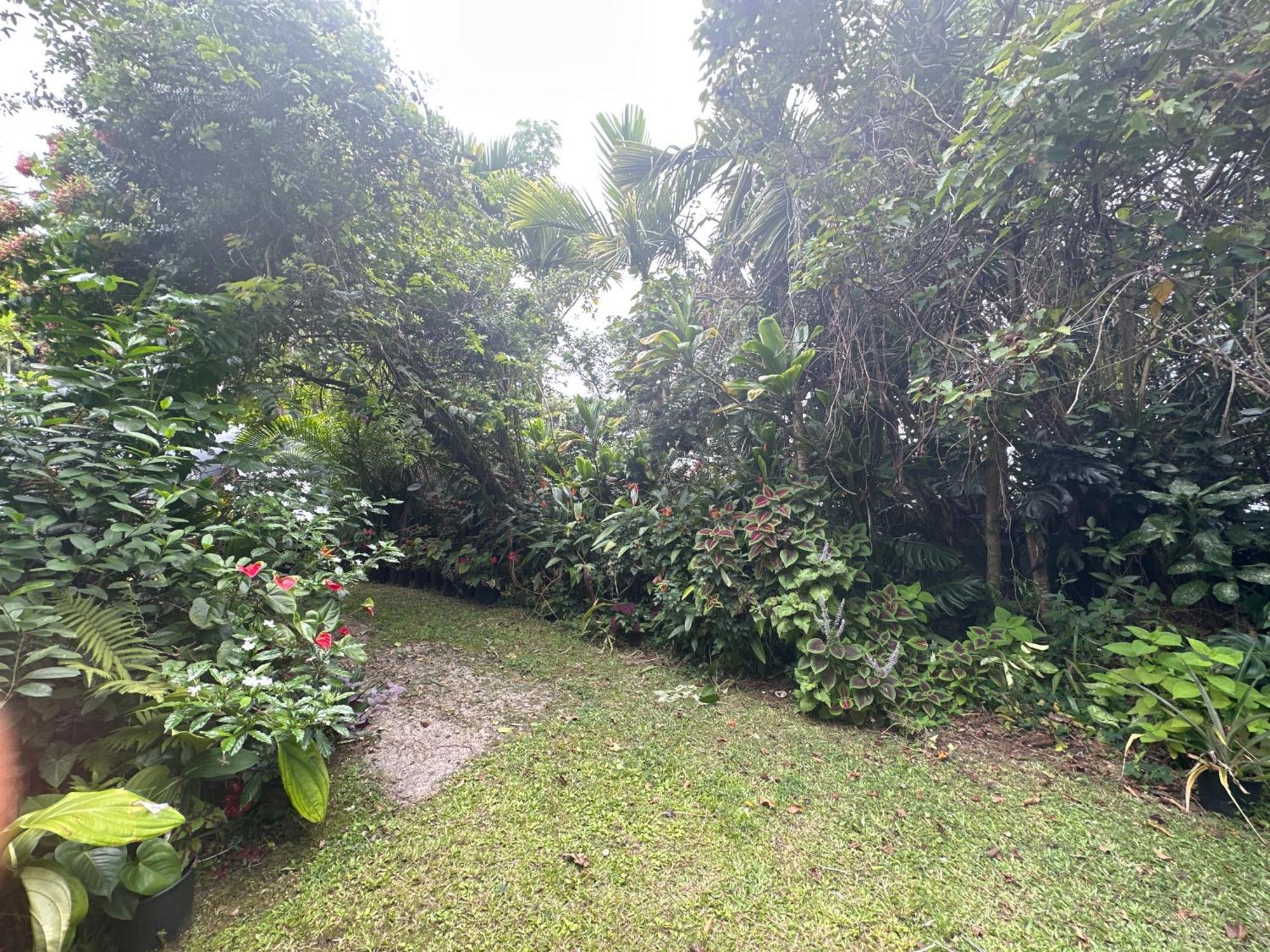 Hawaiian Ohana Home Hilo Exterior foto